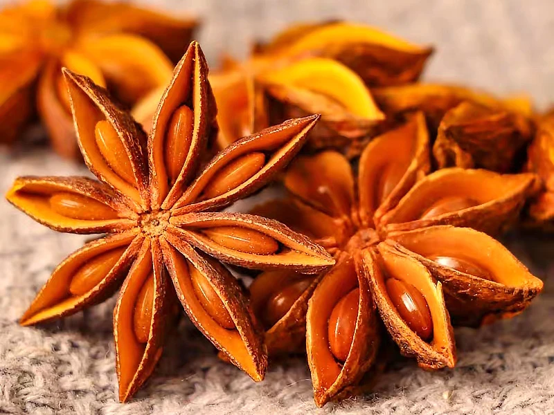 star anise shikimic acid star anise shikimic acid