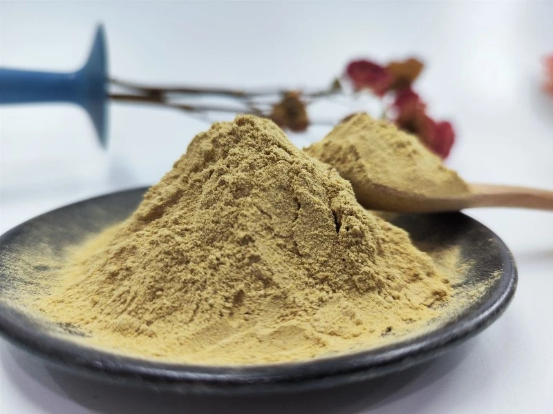 Irvingia gabonensis Seed Extract Powder Irvingia gabonensis Seed Extract Powder