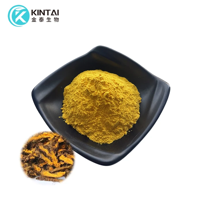 Golden Seal Root Extract Powder