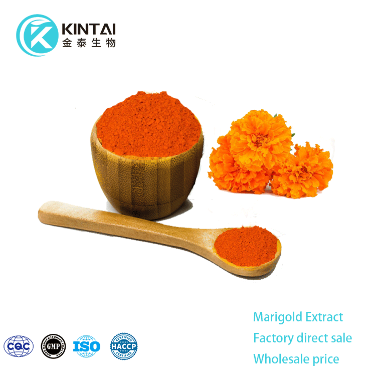 Marigold Flower Extract Marigold Flower Extract